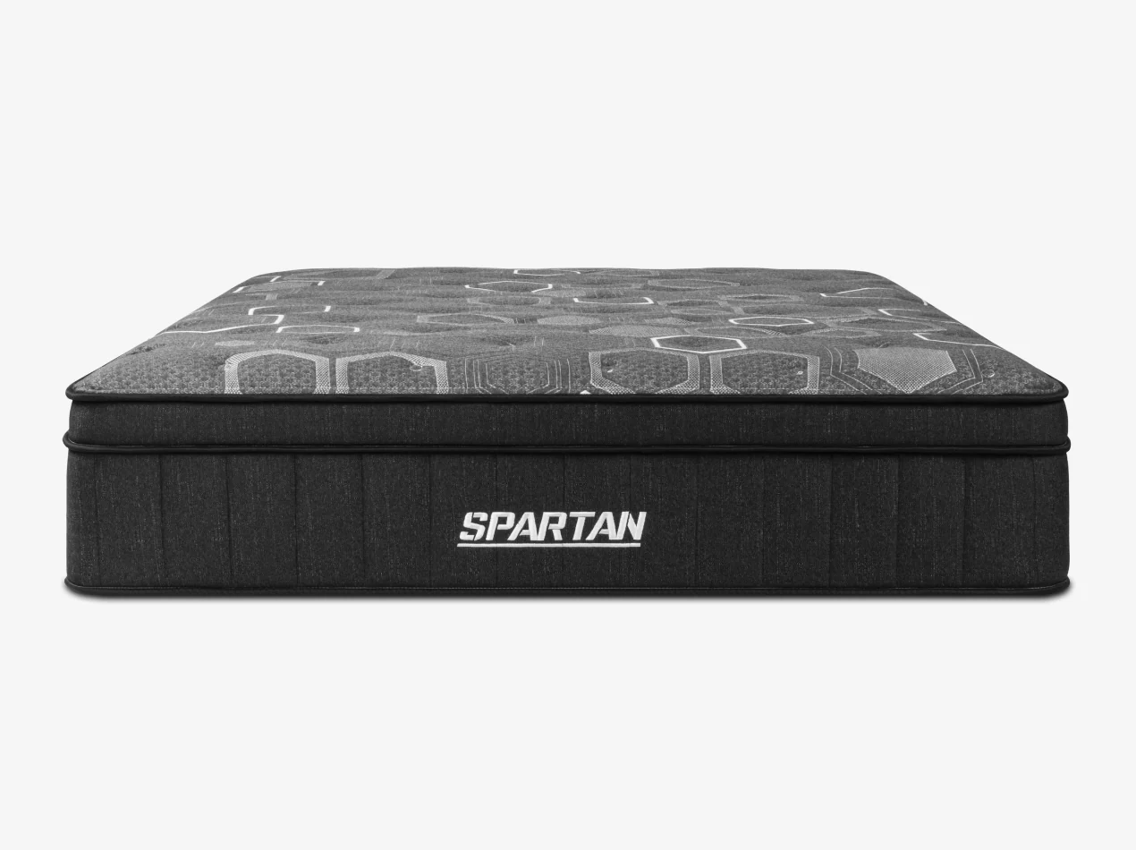 Spartan - Image 5